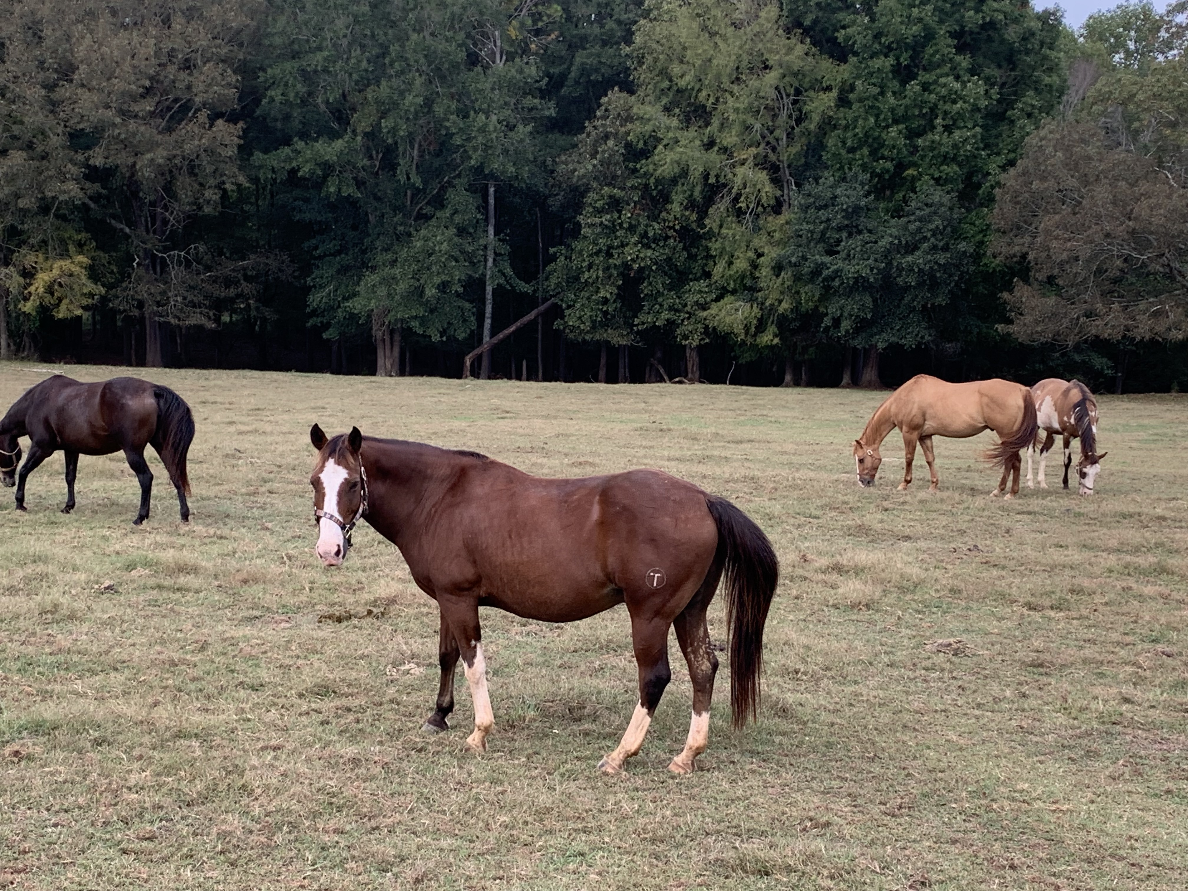 ./2021/07 - Southern Cross/IMG_5458.JPG